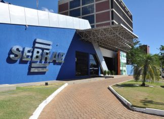 Sebrae Nacional revela que 75% dos pequenos negócios no Tocantins não são formalizados