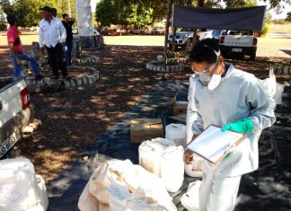Projeto de Recebimento Itinerante de embalagens vazias de defensivos agrícolas visita Municípios Tocantinenses