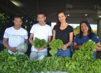 Adolescentes do Centro de Atendimento Socioeducativo comercializam hortaliças