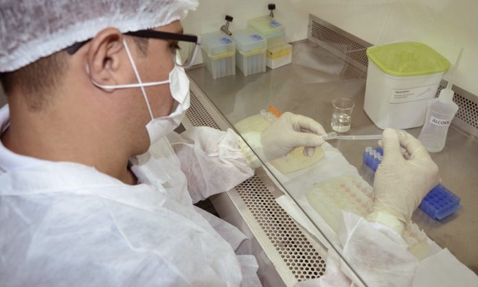 Exames-Covid-19-Lacen-Nielcem-Fernandes-12