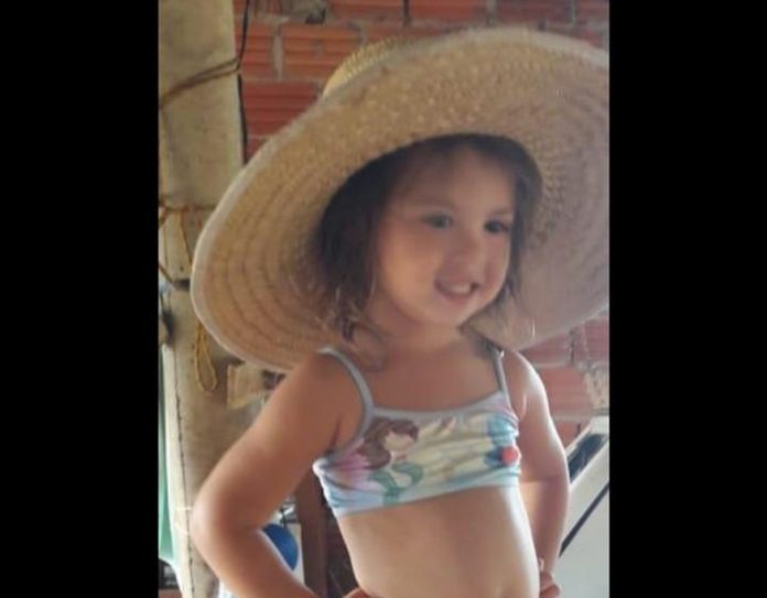 whatsapp-image-2020-08-05-at-00.03.40