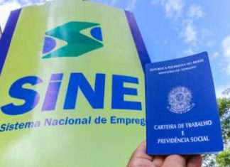 Painel do Sine Tocantins tem 394 vagas distribuídas em 8 cidades do Tocantins
