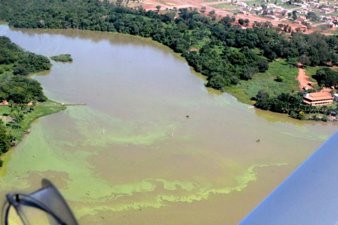 Naturatins autua BRK Ambiental em mais de 8 milhões de reais por poluição ambiental