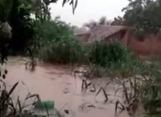 Morador filma momento exato em que casa é arrastada pela enxurrada no sul do Tocantins