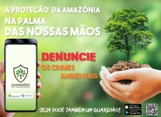Polícia Militar usará ferramenta de denúncia, criada pelo Exército Brasileiro, no combate a crimes ambientais no Tocantins