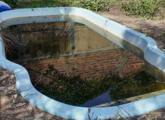 Ingresso forçado é realizado por agentes de endemias em lotes de Taquaruçu para conter proliferação do mosquito Aedes aegypti