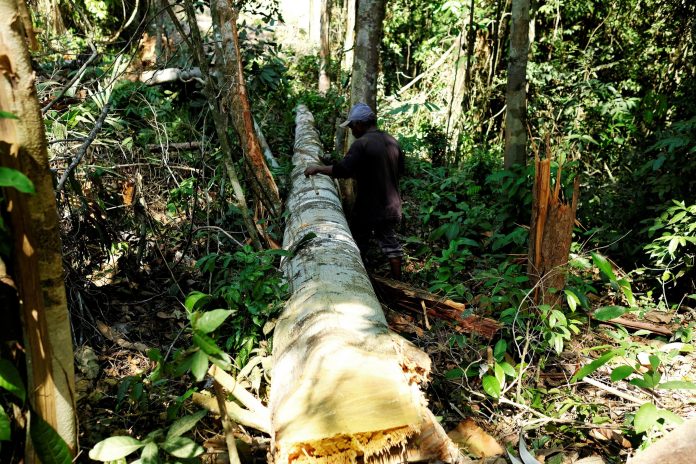 2021-04-09t194019z-488367234-rc2jsm9ra9mm-rtrmadp-3-brazil-environment-min-scaled