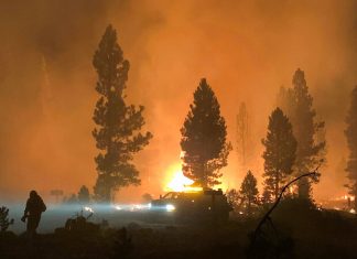 Forte calor e incêndios florestais no estado do Oregon preocupam autoridades, que pedem ajuda
