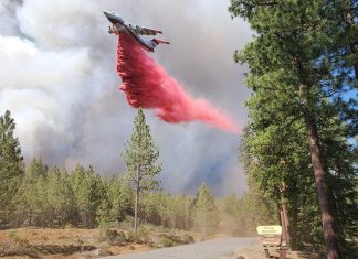 Incêndio florestal na Califórnia atravessa para Nevada nos EUA