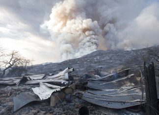 Casal responderá na Justiça americana por chá de revelação que causou incêndio florestal na Califórnia