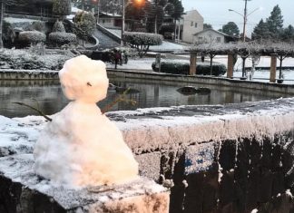 Vc viu? Onda de frio no Brasil, medalhas históricas em Tóquio, incêndio na Cinemateca e o Centrão na Casa Civil