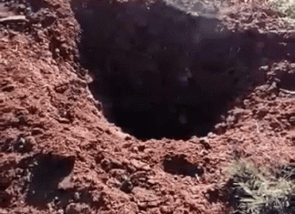 Três militares têm corpos destroçados após carro de exército paraguaio ficar destruído por explosão de bomba; vídeo