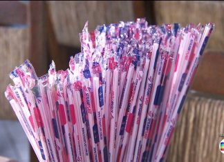 Alemanha proíbe definitivamente a venda de plásticos descartáveis