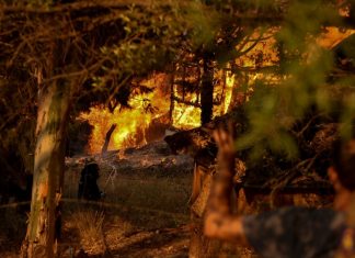 Grécia e Itália sofrem com incêndios florestais e temperaturas acima de 40°C; veja vídeo do combate ao fogo