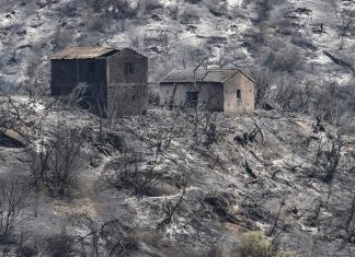 Argélia: incêndios deixam ao menos 69 mortos e população se mobiliza na luta contra o fogo