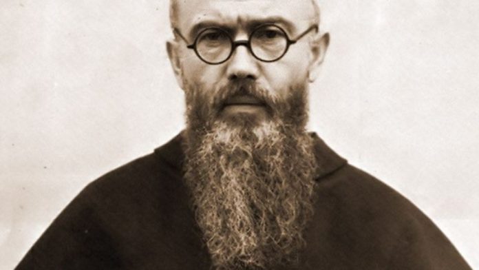 119919566-3