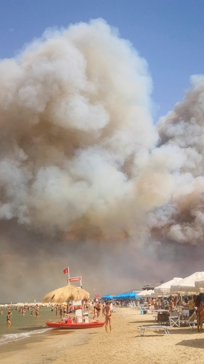 2021-08-02t104742z-157061145-rc2ywo9bubk4-rtrmadp-3-italy-wildfires