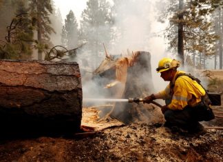 Incêndio na Califórnia é o segundo pior da história do estado