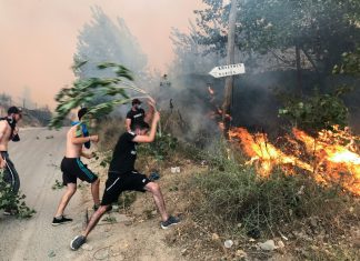 Incêndios florestais deixam mortos na Argélia; governo investiga possível ação criminosa