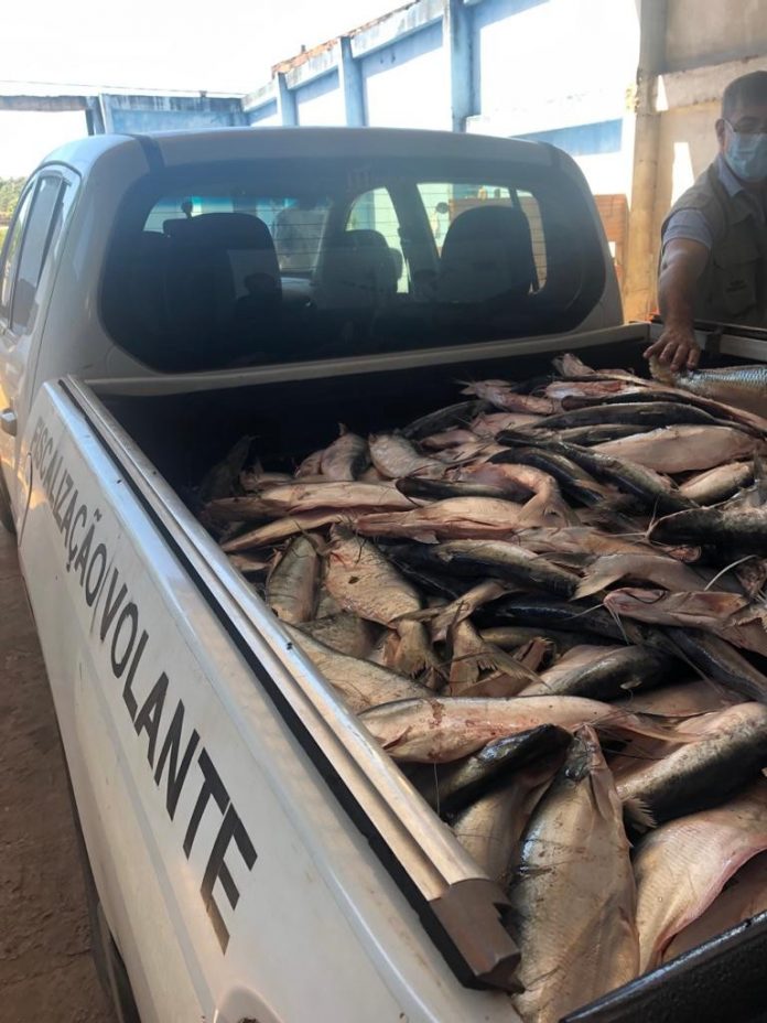 adapec-governo-do-tocantins-38-