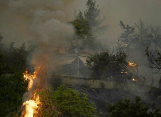 Incêndios destroem 1.200 hectares de mata e esvaziam 5 cidades perto de Atenas