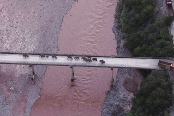 ap21221085853951