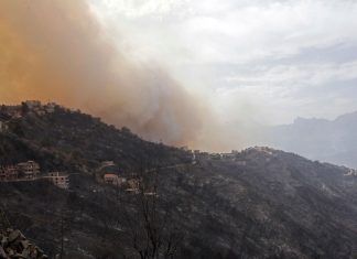 Incêndios no norte da Argélia deixam dezenas de mortos
