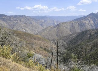 Família da Califórnia aparece morta em uma trilha na floresta, e polícia ainda não sabe o que causou as mortes