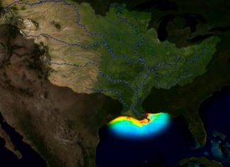 A preocupante expansão da ‘Zona Morta’ do Golfo do México, onde a vida marinha é impossível