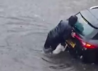 VÍDEO: Cachorro ‘ajuda’ dona a empurrar carro em meio a enchente na Escócia