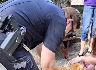 VÍDEO: Policial salva cachorro preso debaixo de casa nos EUA