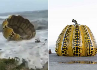 Escultura icônica de artista japonesa é arremessada ao mar durante passagem de tufão