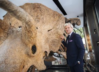 ‘Big John’, o maior triceratops já descoberto, será exposto em Paris antes de leilão milionário