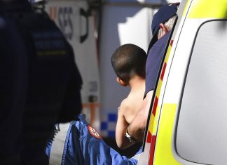 Menino de 3 anos se perde e sobrevive três dias sozinho em mata na Austrália