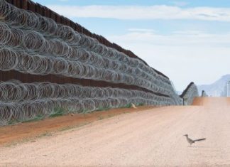 A premiada imagem de ‘papa-léguas’ diante de muro entre EUA e México