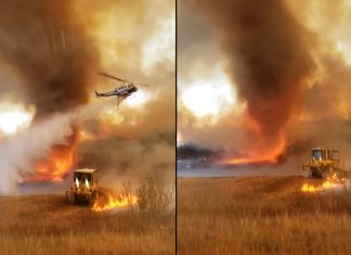 Tornado de fogo é registrado em incêndio florestal na Califórnia; assista