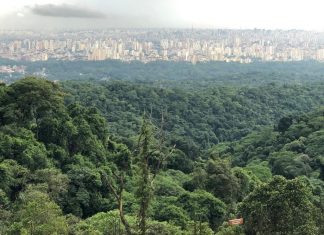 São Paulo é escolhida como a 31ª melhor cidade do mundo por revista inglesa