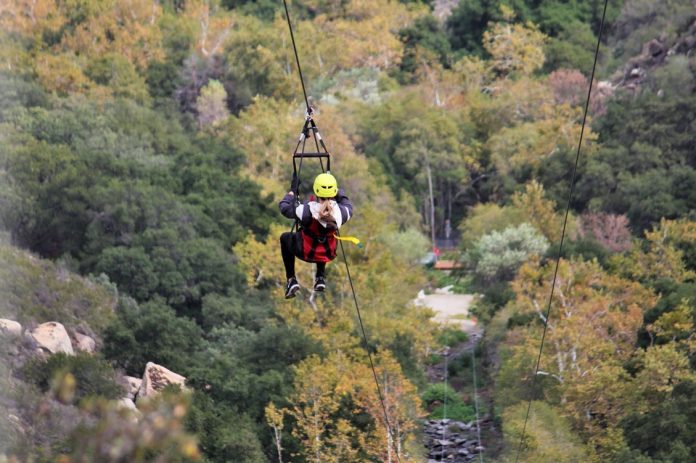 captura-de-tela-2021-11-03-113105