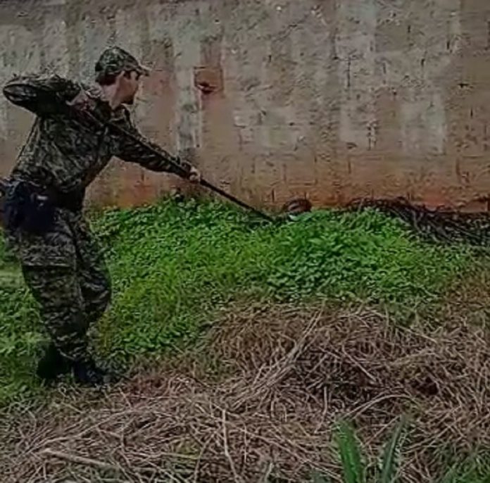 capturar