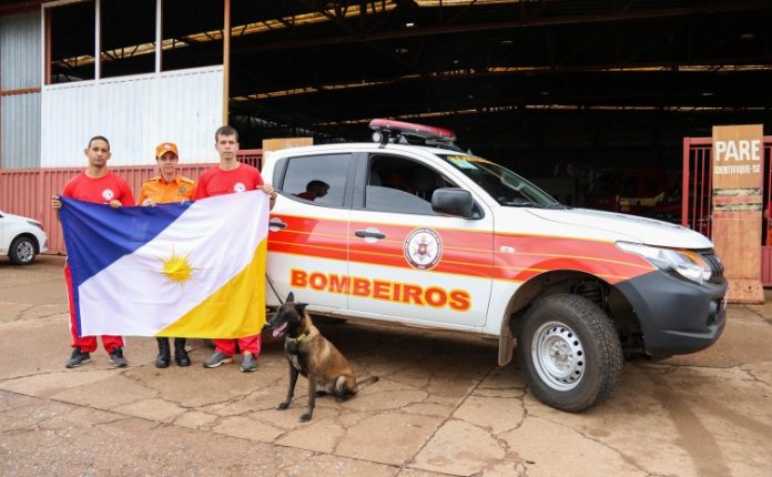 bombeiros