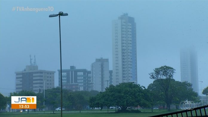 chuva-palmas