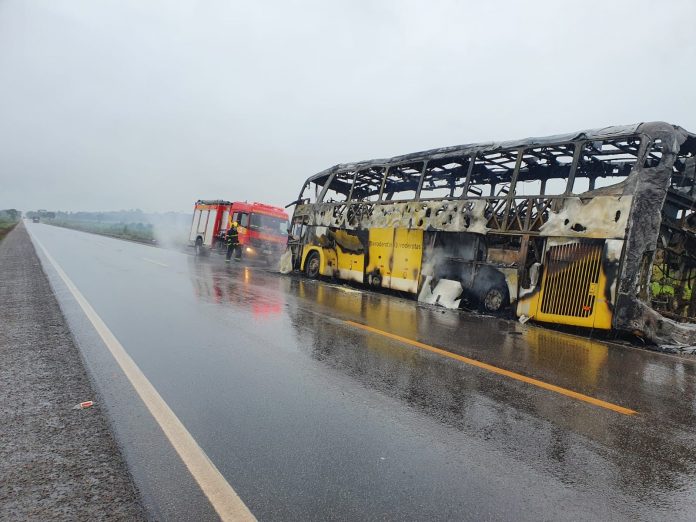 onibus-2