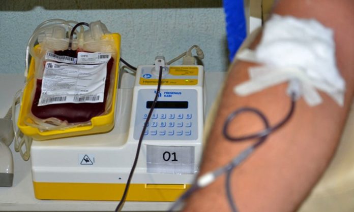 sangue