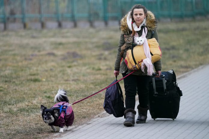 2022-03-13t074312z-663413441-rc2h1t9wve1a-rtrmadp-3-ukraine-crisis-border-poland-1-scaled