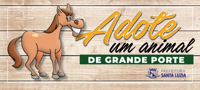 adote-animal