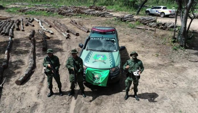 foto-05-policiais-militares-do-bpma-encontra-deposito-de-madeira-ilegal