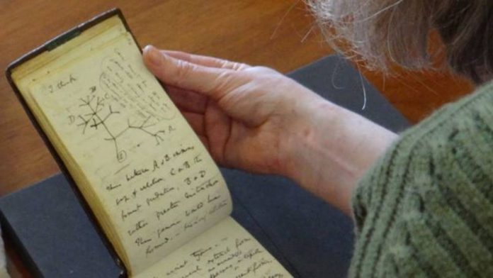 jessica-gardner-bibliotecaria-da-universidade-de-cambridge-ficou-emocionada-por-ter-os-blocos-de-volta