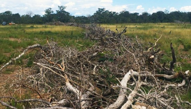 naturatins