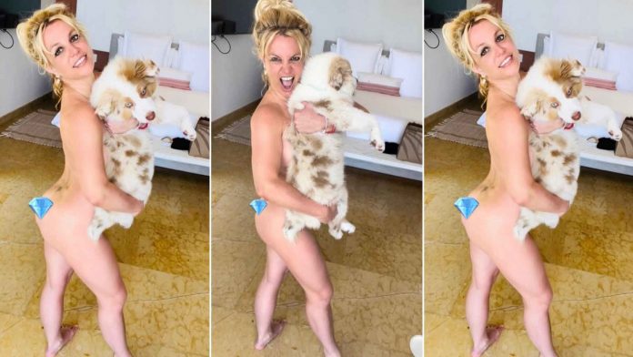 britney