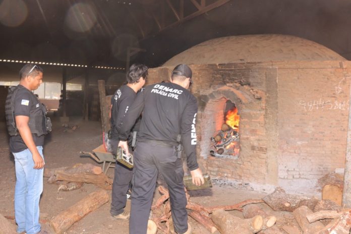 policia-civil-do-tocantins-incinera-os-mais-de-220-kg-de-pasta-base-de-cocaina-apreendidos-em-porto-nacional-na-ultima-quinta-3